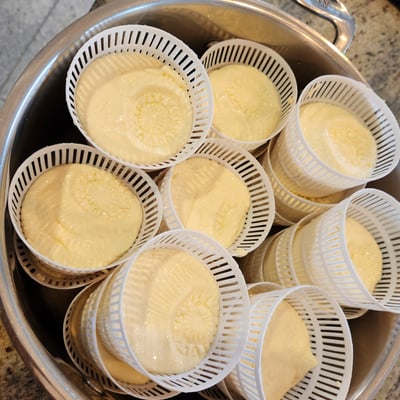 Fresh cheese draining in baskets